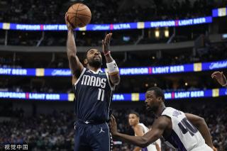 仅展示了青 仅展示了青